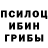 Псилоцибиновые грибы Psilocybine cubensis dronty fronty