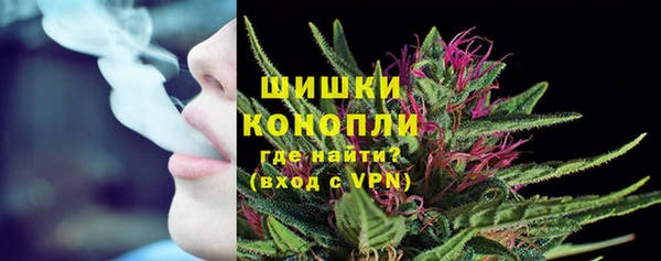 ГАЛЛЮЦИНОГЕННЫЕ ГРИБЫ Белоозёрский